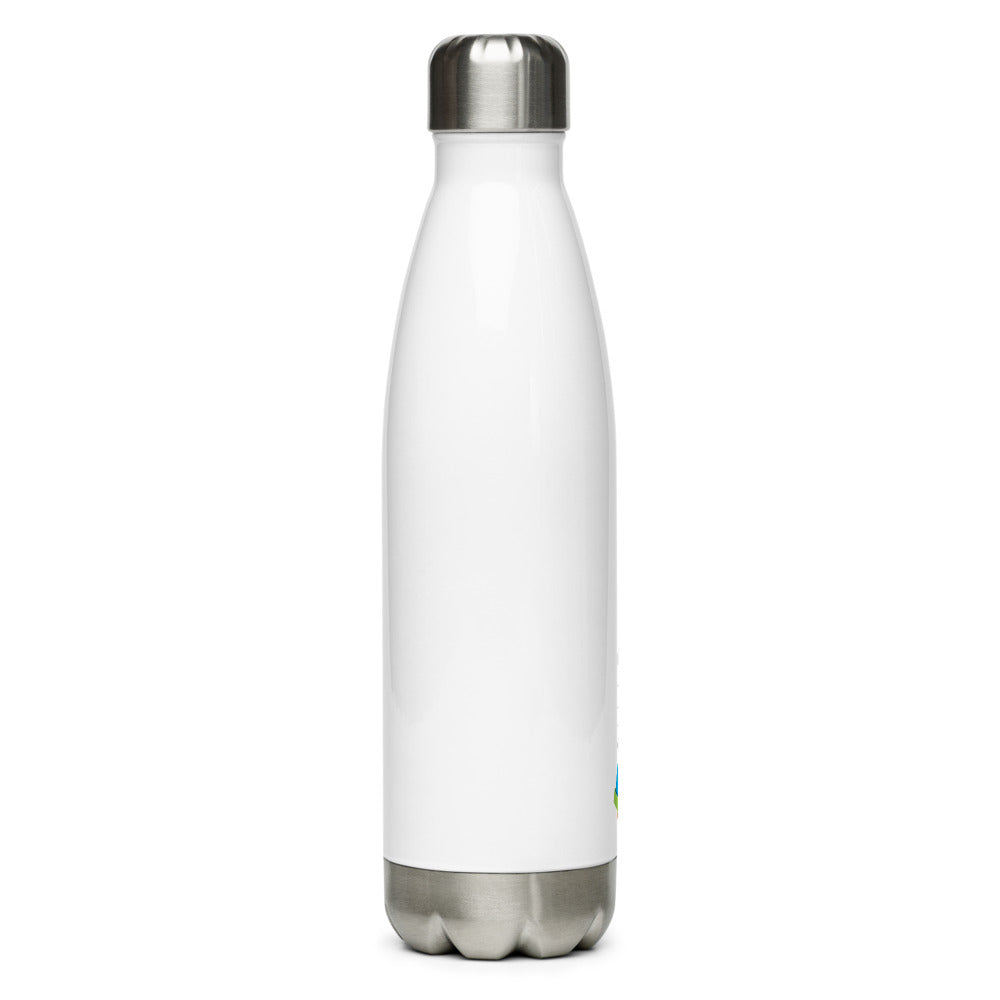 Classic Stainless Steel Water Bottle